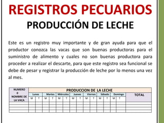REGISTROS PECUARIOS
PRODUCCIÓN DE LECHE
Este es un registro muy importante y de gran ayuda para que el
productor conozca las vacas que son buenas productoras para el
suministro de alimento y cuales no son buenas productora para
proceder a realizar el descarte, para que este registro sea funcional se
debe de pesar y registrar la producción de leche por lo menos una vez
al mes.
NUMERO
0
NOMBRE DE
LA VACA
PRODUCCION DE LA LECHE
Lunes Martes Miércoles Jueves Viernes Sábado Domingo TOTAL
M T M T M T M T M T M T M T
 