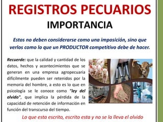REGISTROS PECUARIOS
IMPORTANCIA
Estos no deben considerarse como una imposición, sino que
verlos como lo que un PRODUCTOR competitivo debe de hacer.
Recuerde: que la calidad y cantidad de los
datos, hechos y acontecimientos que se
generan en una empresa agropecuaria
difícilmente pueden ser retenidos por la
memoria del hombre, a esto es lo que en
psicología se le conoce como "ley del
olvido", que implica la pérdida de la
capacidad de retención de información en
función del transcurso del tiempo.
Lo que esta escrito, escrito esta y no se la lleva el olvido
 