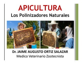 APICULTURA
Los Polinizadores Naturales
Dr. JAIME AUGUSTO ORTIZ SALAZAR
Medico Veterinario Zootecnista
 
