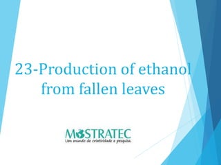 23-Production of ethanol
from fallen leaves
 