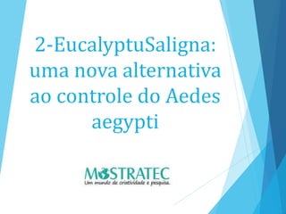 2-EucalyptuSaligna:
uma nova alternativa
ao controle do Aedes
aegypti
 