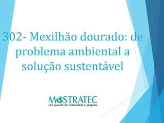 302- Mexilhão dourado: de
problema ambiental a
solução sustentável
 