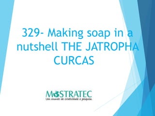 329- Making soap in a
nutshell THE JATROPHA
CURCAS
 