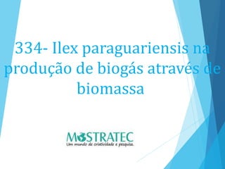 334- Ilex paraguariensis na
produção de biogás através de
biomassa
 