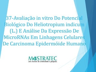37-Avaliação in vitro Do Potencial
Biológico Do Heliotropium indicum
(L.) E Análise Da Expressão De
MicroRNAs Em Linhagens Celulares
De Carcinoma Epidermóide Humano
 