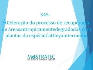 345-
Aceleração do processo de recuperação
de áreasantropicamentedegradadas com
plantas da espécieCattleyaintermedia
 