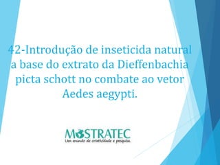 42-Introdução de inseticida natural
a base do extrato da Dieffenbachia
picta schott no combate ao vetor
Aedes aegypti.
 