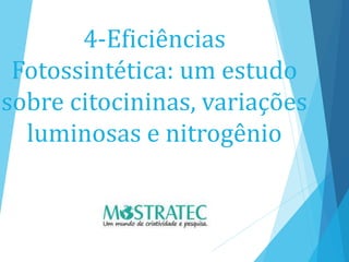 4-Eficiências
Fotossintética: um estudo
sobre citocininas, variações
luminosas e nitrogênio
 