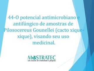 44-O potencial antimicrobiano e
antifúngico de amostras de
Pilosocereus Gounellei (cacto xique-
xique), visando seu uso
medicinal.
 