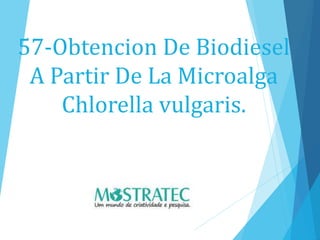 57-Obtencion De Biodiesel
A Partir De La Microalga
Chlorella vulgaris.
 