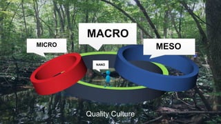MICRO
MACRO
MESO
NANO
Quality Culture
 