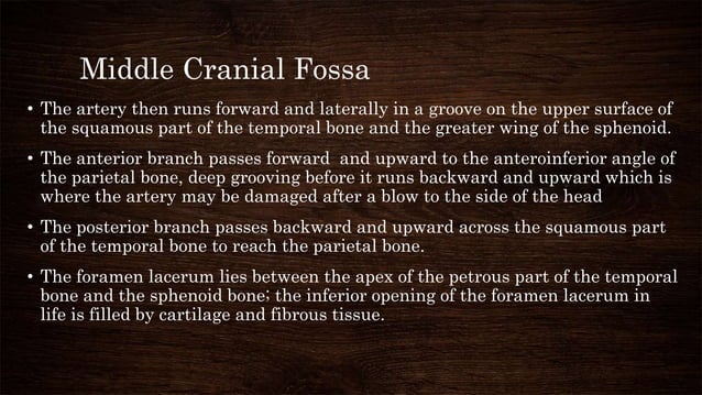 Basic Skull Anatomy | PPTX