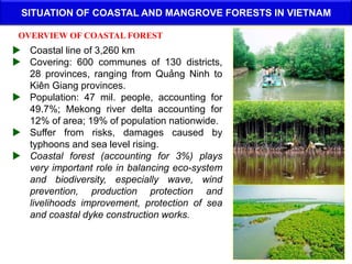 Overview of Mangrove Protection and Development in Vietnam | PPTX