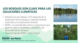 Lecciones de la implementación REDD+ a nivel local y subnacional