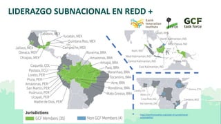 Lecciones de la implementación REDD+ a nivel local y subnacional