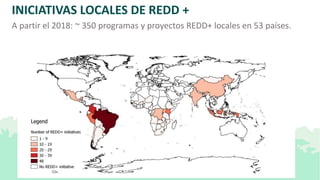 Lecciones de la implementación REDD+ a nivel local y subnacional