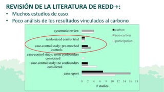 Lecciones de la implementación REDD+ a nivel local y subnacional