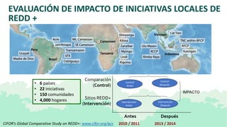 Lecciones de la implementación REDD+ a nivel local y subnacional