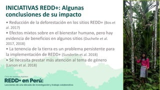 Lecciones de la implementación REDD+ a nivel local y subnacional
