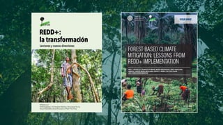 Lecciones de la implementación REDD+ a nivel local y subnacional