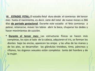 III ESTADIO FETAL: El estadio fetal dura desde el comienzo del tercer
mes hasta el nacimiento, es decir, siete del total de nueve meses o 266
días de periodo gestacional. Durante este estadio el feto comienza a
patear, retorcerse, mover los labios abrir la boca, chuparse los dedos y
hacer movimientos de succión.
• Durante el tercer mes: Las estructuras físicas se hacen más
completas, los ojos al lado de la cabeza, adquieren el iris, se forman los
dientes bajo las encías, aparecen las orejas y las uñas de las manos y
de los pies, se desarrollan las glándulas tiroideas, timo, páncreas y
riñones, los órganos sexuales están completos tanto del hombre y de
la mujer.
 