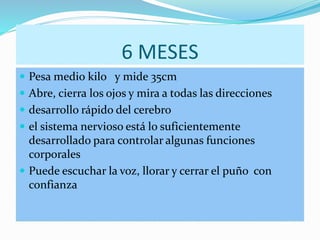 6 MESES
 Pesa medio kilo y mide 35cm
 Abre, cierra los ojos y mira a todas las direcciones
 desarrollo rápido del cerebro
 el sistema nervioso está lo suficientemente
desarrollado para controlar algunas funciones
corporales
 Puede escuchar la voz, llorar y cerrar el puño con
confianza
 