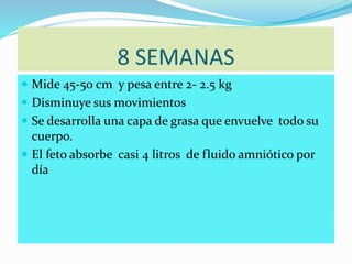 8 SEMANAS
 Mide 45-50 cm y pesa entre 2- 2.5 kg
 Disminuye sus movimientos
 Se desarrolla una capa de grasa que envuelve todo su
cuerpo.
 El feto absorbe casi 4 litros de fluido amniótico por
día
 