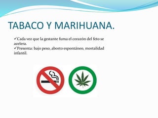 TABACO Y MARIHUANA.
Cada vez que la gestante fuma el corazón del feto se
acelera.
Presenta: bajo peso, aborto espontáneo, mortalidad
infantil.
 