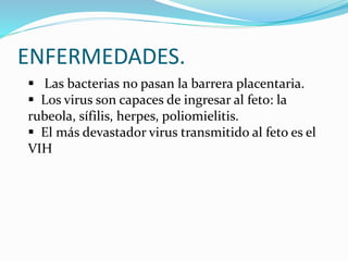 ENFERMEDADES.
 Las bacterias no pasan la barrera placentaria.
 Los virus son capaces de ingresar al feto: la
rubeola, sífilis, herpes, poliomielitis.
 El más devastador virus transmitido al feto es el
VIH
 