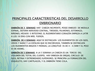 PRINCIPALES CARACTERISTICAS DEL DESARROLLO
EMBRIONARIO
EMBRIÓN DE 3 SEMANAS: HAY CABEZA INCIPIENTE, POSEE EMBOZO DE MEDULA
ESPINAL, SISTEMA NERVIOSO CENTRAL, TIROIDES, PULMONES, ESTOMAGO,
RIÑONES, HÍGADO E INTESTINO. EL RUDIMENTARIO CORAZÓN EMPIEZA A LATIR
A LOS 18 DÍAS CON MÁS FUERZA.
EMBRIÓN DE 4 SEMANAS: AQUÍ SE DISTINGUEN LOS RUDIMENTOS DE LOS OJOS,
OÍDOS Y NARIZ Y LA ESPALDA QUE SE ENCORVADA, TAMBIÉN SE DISTINGUEN
LOS RUDIMENTOS BRAZOS Y PIERNAS, LA LONGITUD ES DE 4 – 4.5MM Y EL PESO
ES DE 400MG.
EMBRIÓN DE 5 SEMANAS: A LA 5 SEMANA LA CABEZA ES UN TERCIO DEL
VOLUMEN DEL TOTAL DEL CUERPO, HAY EMBOZA DE OREJAS, CIRCULO DE
OJOS, RETINA Y EXTREMIDADES SUPERIORES. SE PRINCIPIA LA FORMACIÓN DEL
ESQUELETO, HAY CARTÍLAGOS, Y EL EMBRIÓN TIENE COLA.
 