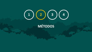 Evaluación de impactos del proyecto REDD+ en concesiones castañeras de Madre de Dios