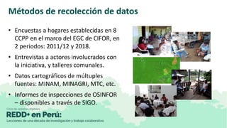 Evaluación de impactos del proyecto REDD+ en concesiones castañeras de Madre de Dios