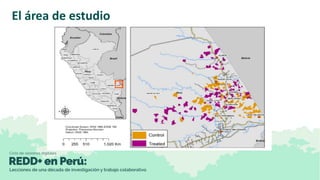 Evaluación de impactos del proyecto REDD+ en concesiones castañeras de Madre de Dios