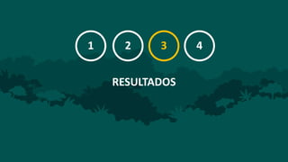 Evaluación de impactos del proyecto REDD+ en concesiones castañeras de Madre de Dios