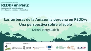 Kristell Hergoualc’h
Las turberas de la Amazonía peruana en REDD+:
Una perspectiva sobre el suelo
 