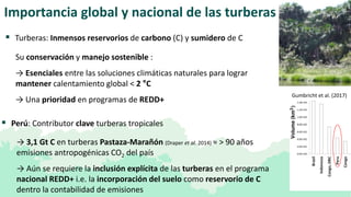 Importancia global y nacional de las turberas
 Perú: Contributor clave turberas tropicales
Gumbricht et al. (2017)
 Turb...