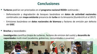 Las turberas de la Amazonía peruana en REDD+:  Una perspectiva sobre el suelo