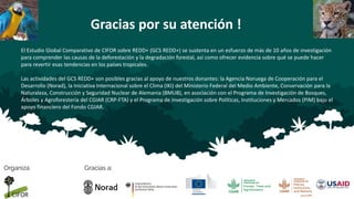 Las turberas de la Amazonía peruana en REDD+:  Una perspectiva sobre el suelo