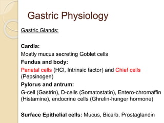 Gastric Physiology
Gastric Glands:
Cardia:
Mostly mucus secreting Goblet cells
Fundus and body:
Parietal cells (HCl, Intrinsic factor) and Chief cells
(Pepsinogen)
Pylorus and antrum:
G-cell (Gastrin), D-cells (Somatostatin), Entero-chromaffin
(Histamine), endocrine cells (Ghrelin-hunger hormone)
Surface Epithelial cells: Mucus, Bicarb, Prostaglandin
 