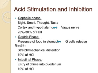 Acid Stimulation and Inhibition
 Cephalic phase:
Sight, Smell, Thought, Taste
Cortex and hypothalamus Vagus nerve
20%-30% of HCl
 Gastric Phase:
Presence of food in stomach G cells release
Gastrin
Stretch/mechanical distention
70% of HCl
 Intestinal Phase:
Entry of chime into duodenum
10% of HCl
 