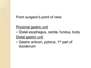 From surgeon’s point of view:
Proximal gastric unit
 Distal esophagus, cardia, fundus, body
Distal gastric unit
 Gastric antrum, pylorus, 1st part of
duodenum
 