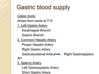 Gastric blood supply
Celiac trunk:
Arises from aorta at T12
1. Left Gastric Artery
Esophageal Branch
Gastric Branch
2. Common Hepatic Artery
Proper Hepatic Artery
Right Gastric Artery
Gastroduodenal Artery Right Gastroepiploic
Art
3. Splenic Artery
Left Gastroepiploic Artery
Short Gastric Artery
 