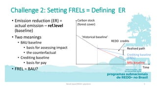 Results-based payment (RBP): Who should be paid, and for what?