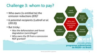 Results-based payment (RBP): Who should be paid, and for what?