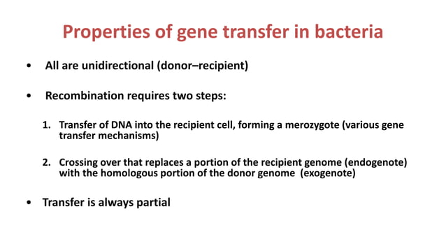Gene transfer mechanisms in bacteria | PPT