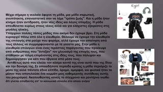 Mέχρι σήμερα η νεολαία έφερνε τη μόδα, μια μόδα σαρωτική,
ανυπότακτη, επαναστατική σαν να λέμε "τρόπο ζωής". Και η μόδα ήταν
κίνημα ήταν αντίδραση, ήταν νέες ιδέες και λόγος ύπαρξης. Η μόδα
απευθύνεται κυρίως στους νέους αλλά και για ελάχιστες εξαιρέσεις στις
μεγάλες ηλικίες.
Υπάρχουν πολλές τάσεις μόδας που ακόμα δεν έχουμε βρει. Στη μόδα
κυριαρχεί πάνω από όλα η ελευθερία. Θέλουμε να έχουμε την ελευθερία
της επιλογής στα ρούχα που φοράμε, αλλά έχουμε την απαίτηση από
τους άλλους να συμμορφώνονται με τα γούστα μας. Στην μόδα η
ελευθερία επιλογών είναι ένας τεράστιος παράγοντας που προέκυψε
από ανθρώπους που "άντεξαν" τον χλευασμό της εποχής τους, που
στάθηκαν με τόλμη επιμένοντας στις ιδέες τους, που πάλεψαν και
δημιούργησαν για κάτι που έβγαινε από μέσα τους.
Αντιθέτως αυτό που ελκύει τον κόσµο κοντά της είναι αυτό που της δίνει
και την δύναµη της. Σε οποιαδήποτε περίοδο κρίσης η µόδα περιόριζε τα
µέσα της αλλά πάντοτε έδινε ελπίδα, όραµα, οµορφιά, και φυσικά ήταν το
µέσον που αποτελούσε ένα κοµµάτι µιας καθηµερινής συνήθειας αυτής
του ρουχισµού. Ακολουθώντας κανείς το σύγχρονο και µοντέρνο νιώθει
ότι γίνεται αποδεκτός απ' το κοινωνικό σύνολο στο οποίο ανήκει.
 