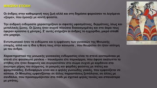 ΜΙΝΩΪΚΗ ΕΠΟΧΗ
Οι άνδρες στην καθημερινή τους ζωή αλλά και στη δημόσια φορούσαν το λεγόμενο
«ζώμα», που έμοιαζε με κοντή φούστα.
Την ανδρική ενδυμασία χαρακτηρίζουν οι σφικτές υφασμάτινες, δερμάτινες, ίσως και
μεταλλικές ζώνες. Οι ζώνες ήταν συχνά πλούσια διακοσμημένες και στα άκρα τους
έφεραν κρόσσια ή χάντρες. Σ‘ αυτές στήριζαν οι άνδρες το εγχειρίδιο, μικρό σπαθί
είτε μαχαίρι.
Εντυπωσιακά ήταν τα ενδύματα και η εμφάνιση των γυναικών της Μινωικής
εποχής, αλλά και η ίδια η θέση τους στην κοινωνία , που θεωρείται ότι ήταν ισότιμη
με του άνδρα.
Χαρακτηριστικά της μινωικής γυναικείας ενδυμασίας είναι το στενό κοντομάνικο με
στενά είτε φουσκωτά μανίκια – πουκάμισο είτε περικόρμιο, που άφηνε ακάλυπτο το
στήθος είτε ήταν διαφανές και συγκρατιόταν στο σώμα συχνά με κορδόνια στο
ανώτερο μέρος του σώματος, οι μακριές και φαρδιές φούστες με πιέτες και
φραμπαλάδες. Ενδιαφέρων είναι και ο ψηλός γωνιώδης γιακάς, που εμφανίζεται σε
κάποια. Οι Μινωίτες εμφανίζονται σε άλλες παραστάσεις ξυπόλητοι, σε άλλες με
σανδάλια, που προσαρμόζονταν στο πόδι με σχετικά ψηλές ταινίες και σπανιότερα
με μπότες.
 