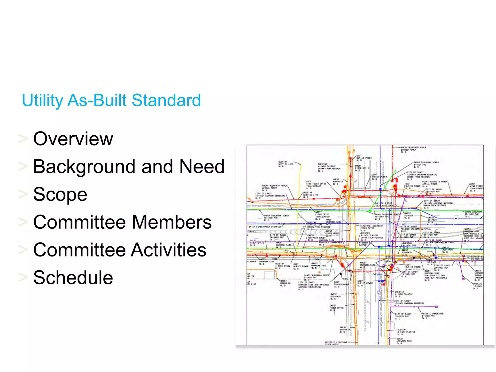 Utility As-Built Standard
> Overview
> Background and Need
> Scope
> Committee Members
> Committee Activities
> Schedule
 