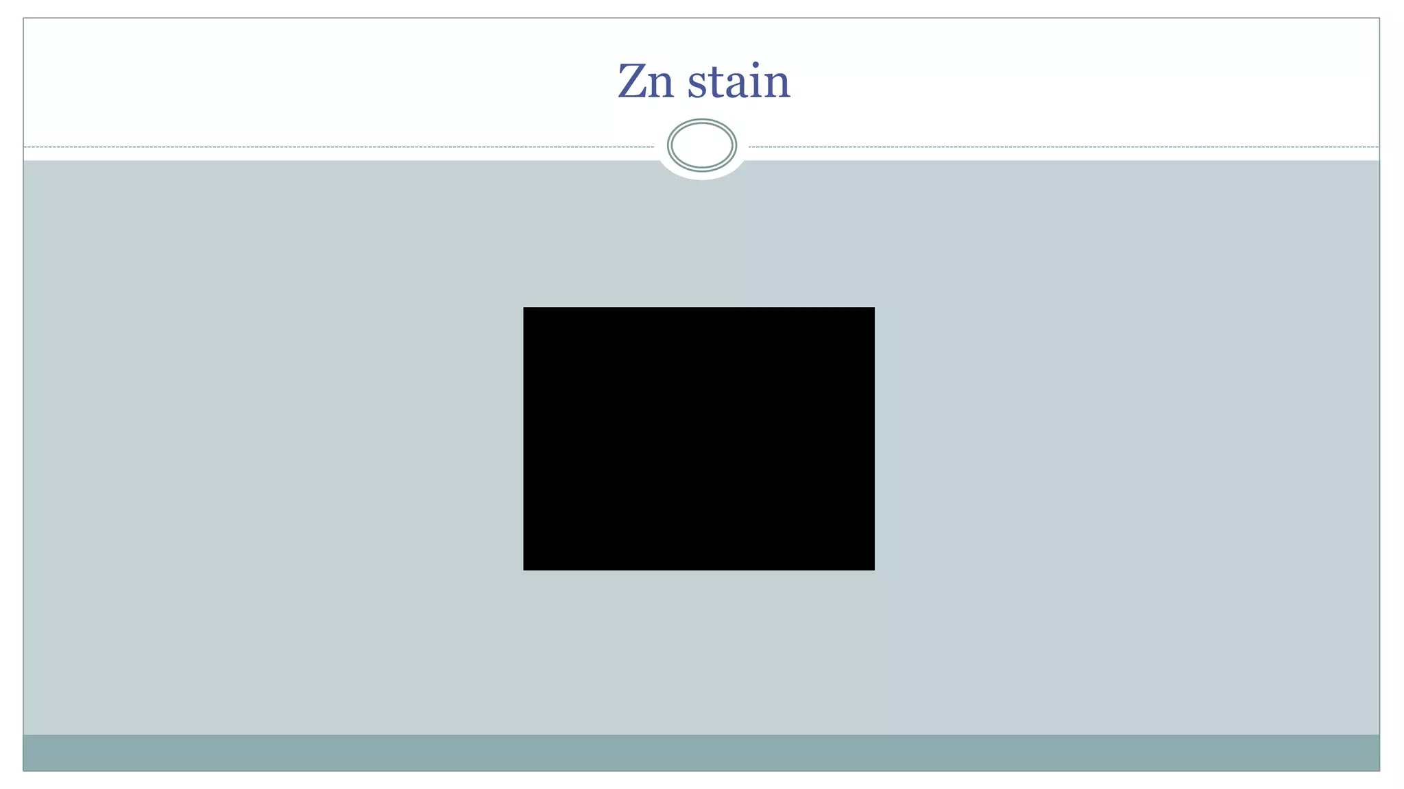 INTRODUCTION TO MICRO LAB, STAINING TECHNIQUES & MORPHOLOGY OF BACTERIA