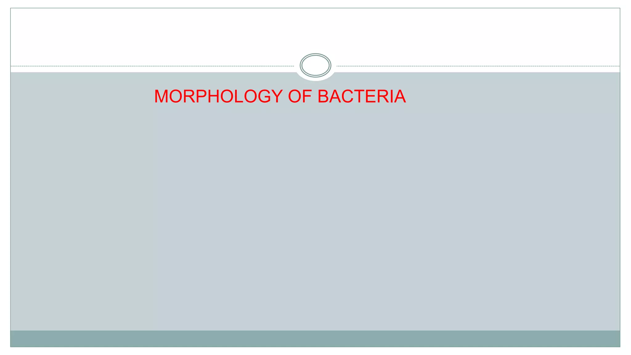 INTRODUCTION TO MICRO LAB, STAINING TECHNIQUES & MORPHOLOGY OF BACTERIA